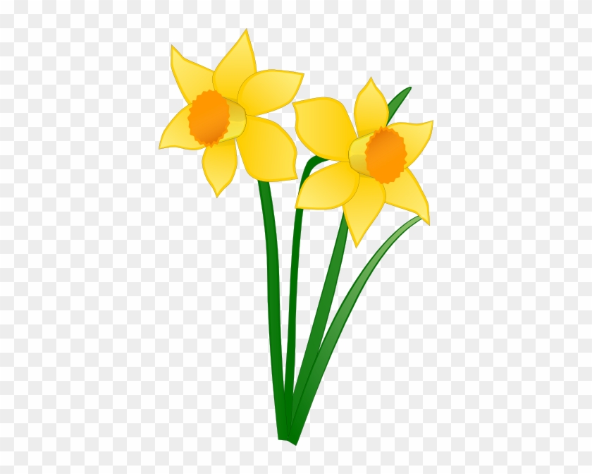 Easter Daffodil Clipart #242131