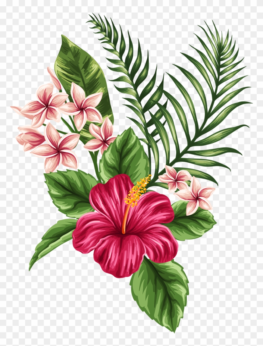 Flower Tropics Drawing Clip Art - Flower Drawing #242225