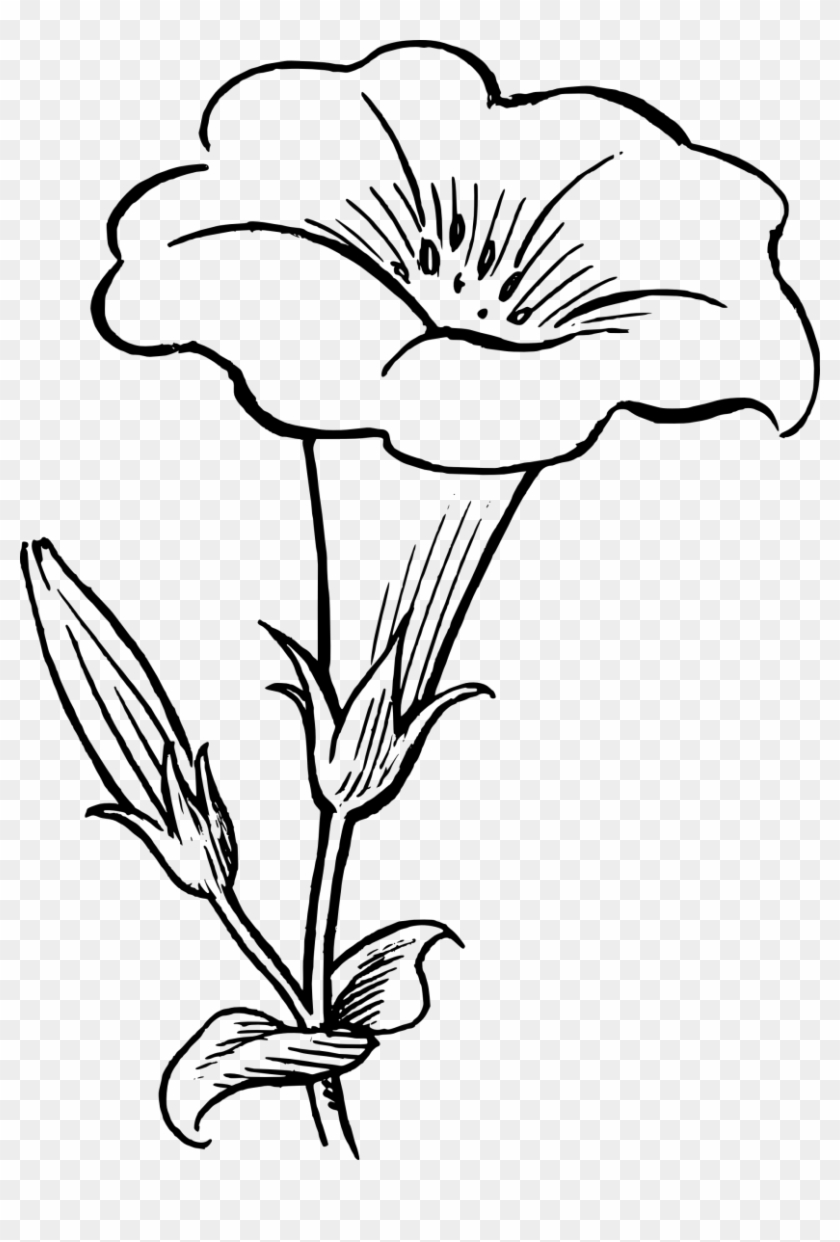Black White Flower Clipart - Flower Black And White #242236