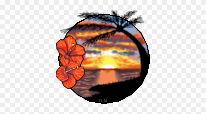 Hawaiian Sunset - Hawaii #242292