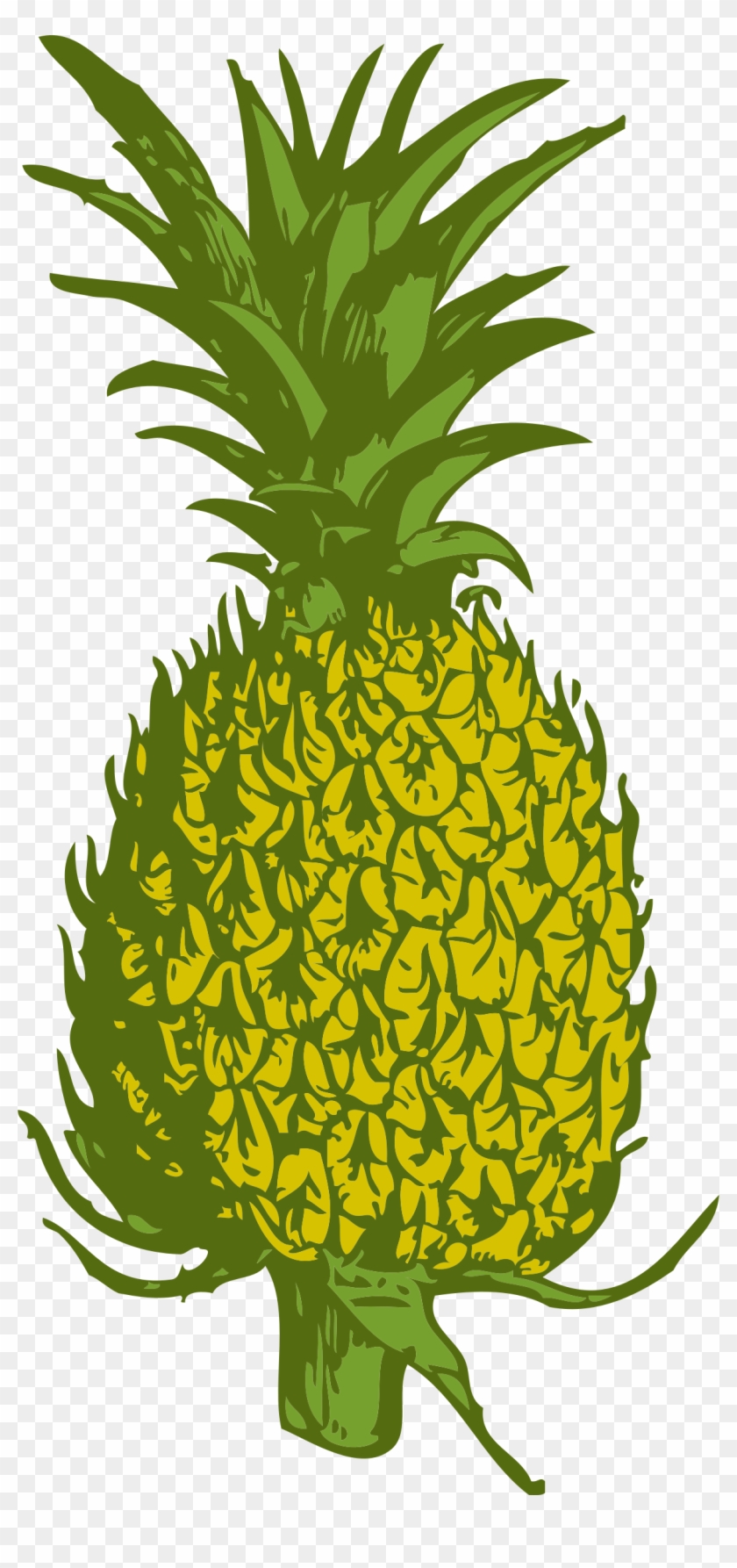 Pineapple Vector Png - Custom Pineapple Shower Curtain #242350