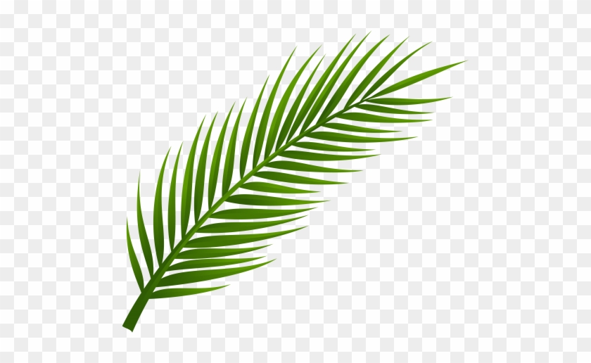 Palm Tree Leaf Png Clip Art - Palm Tree Leaves Png #242439