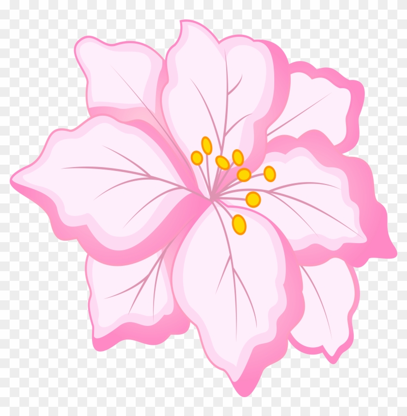White Flower Clipart Pink Flower - Pink And White Flowers Png #242521