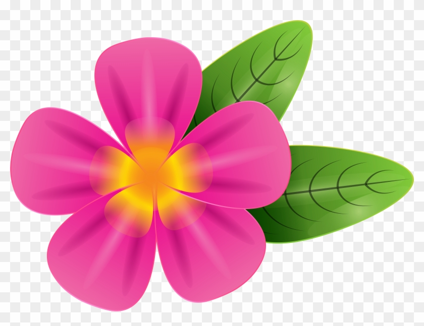 Plumeria Alba Free Clip Art - Plumeria Alba Free Clip Art #243105