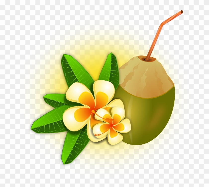 Clipart - Coconut Cocktail - Tropical Coconut Cocktail Floral Wall Tapestry #242554