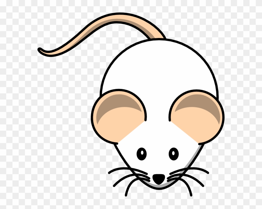 Mouse Drawing Easy #243028