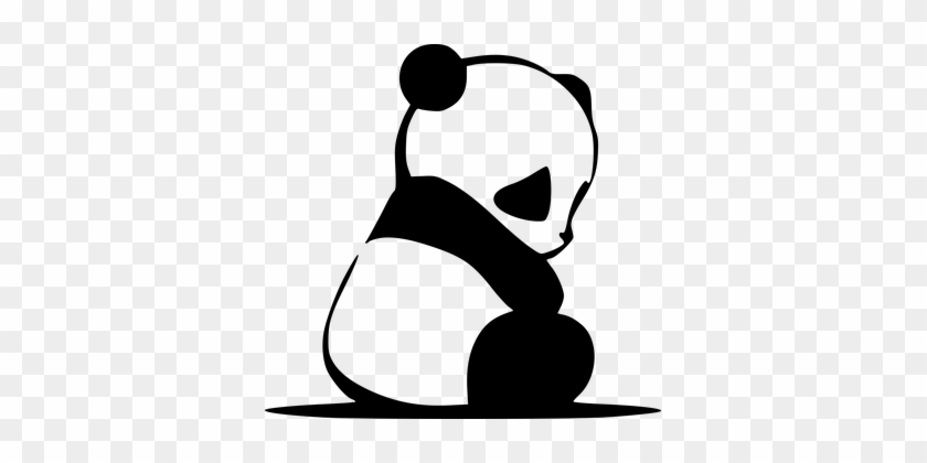 Panda Bear Cute Asian Zoo Bamboo China Chi - Black And White Panda #243076