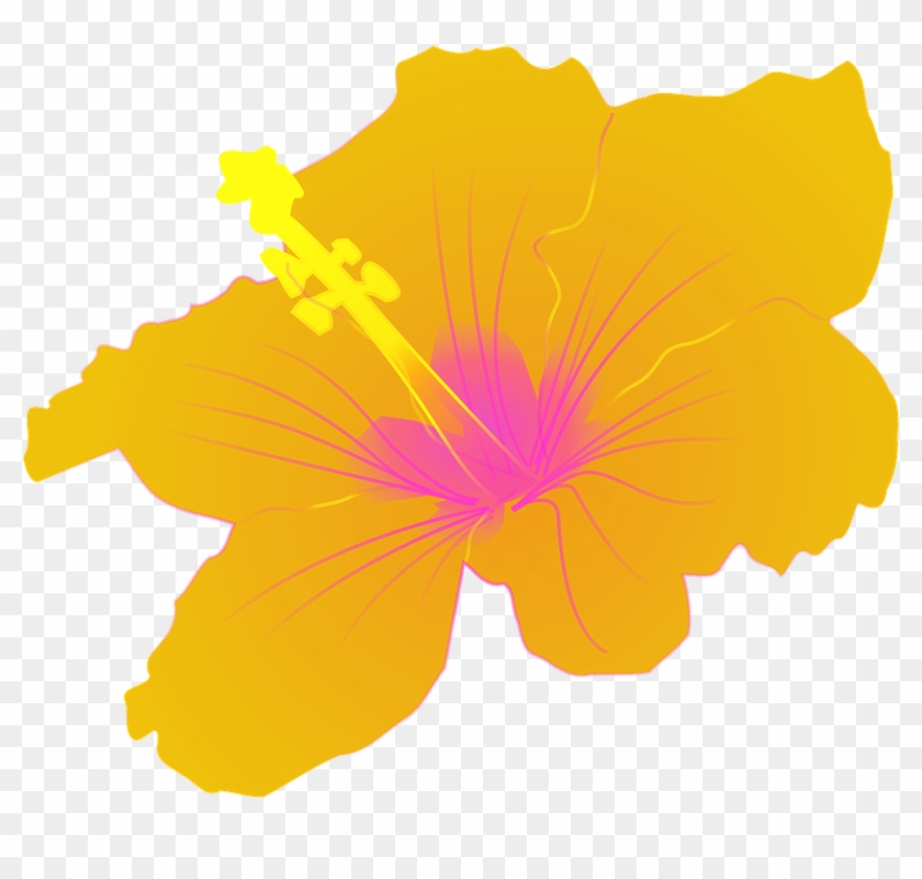 Hibiscus Clipart Flower Gif - Hibiscus Clip Art #243209