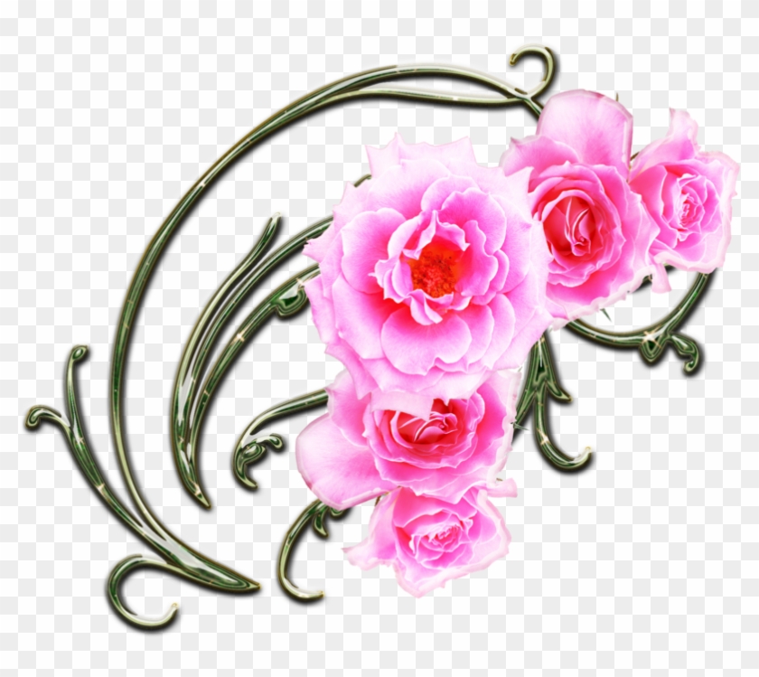 Pink Rose Border Clip Art Swirls - Hybrid Tea Rose #243604