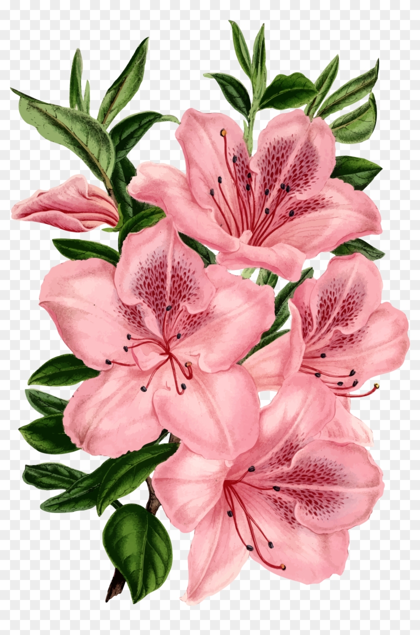 Drawing Pink Flowers Clip Art - Bunch Of Flowers Drawing #243753