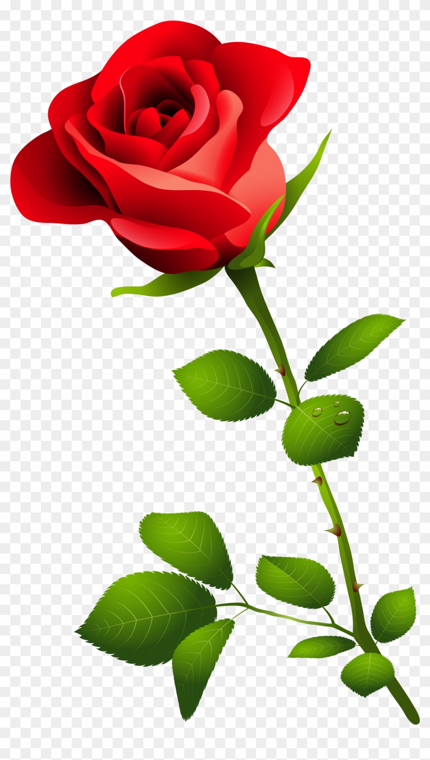 Edit And Free Download Red Rose With Stem Png Clipart - Happy Rose Day Image Download #243934
