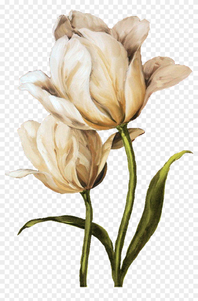 Yüksek Çözünürlüklü Dekupaj Resimleri,sanatsal Dekupaj - White Tulip Waltz Ii Canvas Art Print #244110