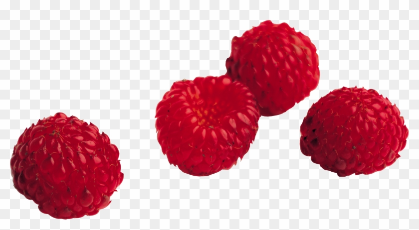 Rraspberry Png Image - Png Raspberry #244159