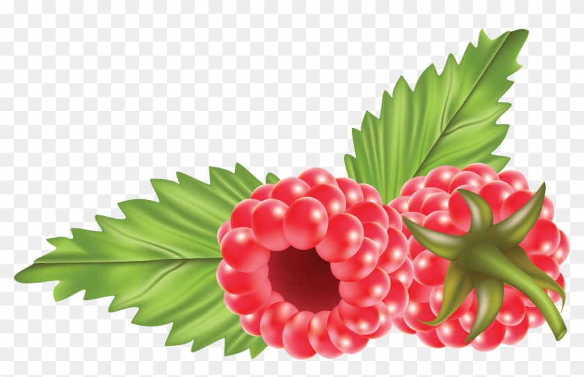 Rraspberry Png Image - Raspberry Clipart Png #244189