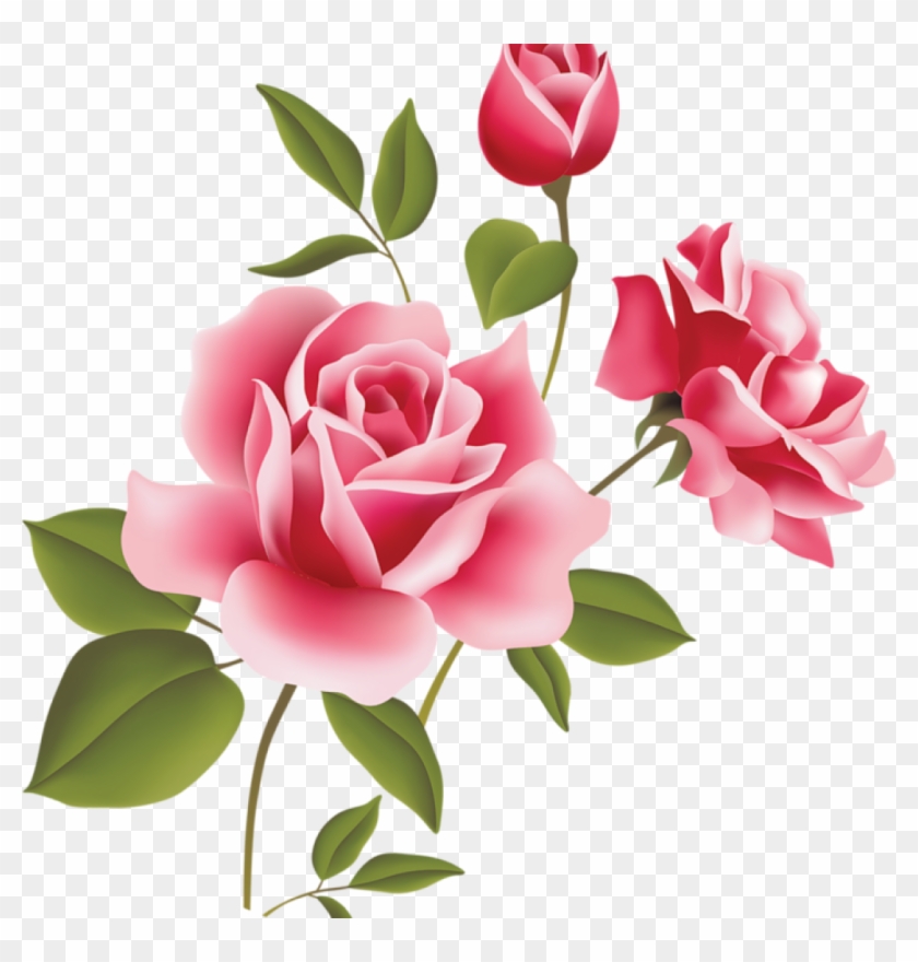 Pink Rose Clipart Pink Rose Art Picture Clipart Clipart - Pink Rose Clipart Pink Rose Art Picture Clipart Clipart #1555157