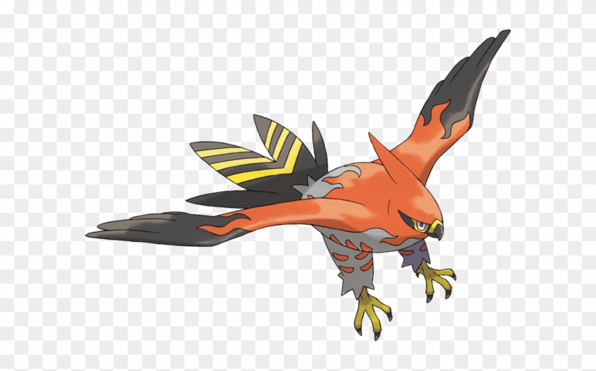 Talonflame - Talonflame #1555213