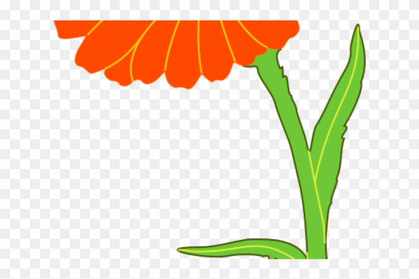 Marigold Clipart Animated - Marigold Clipart Animated #1555240