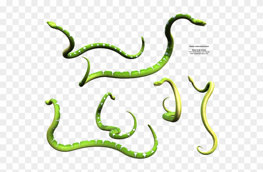 Slithering Green Snake Python By Madetobeunique - Slithering Green Snake Python By Madetobeunique #1555242