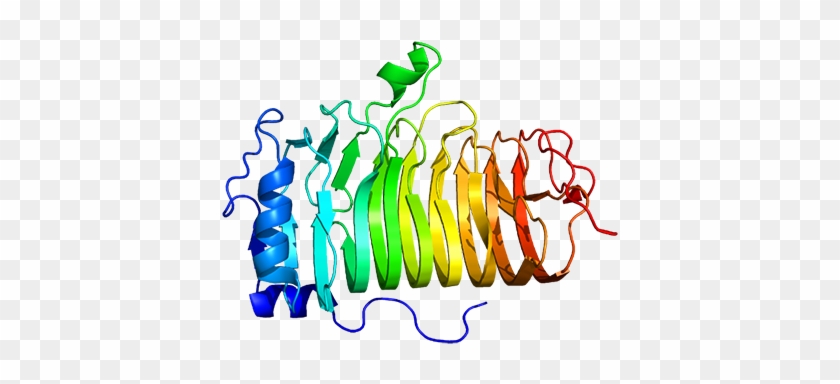 Cd20 Was Discovered In 1980 As The First Specific B - Cd20 Was Discovered In 1980 As The First Specific B #1555682