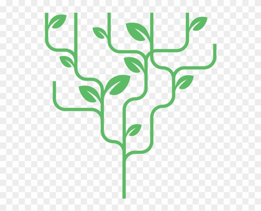 Individual Or Group Subscriptions - Individual Or Group Subscriptions #1555814