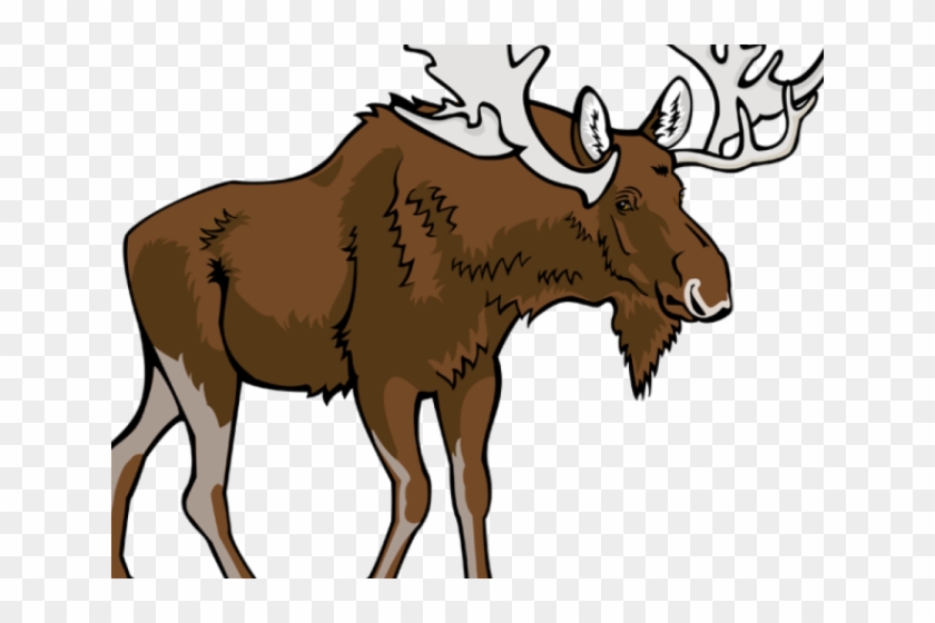 Moose Clipart Walking - Moose Clipart Walking #1556146