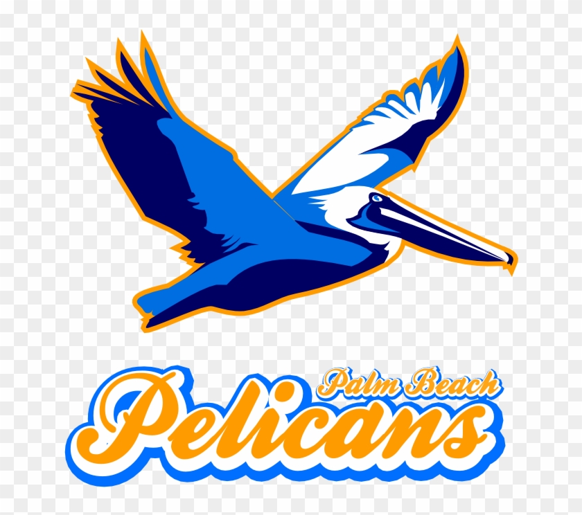 The Palm Beach Pelicans - The Palm Beach Pelicans #1556149