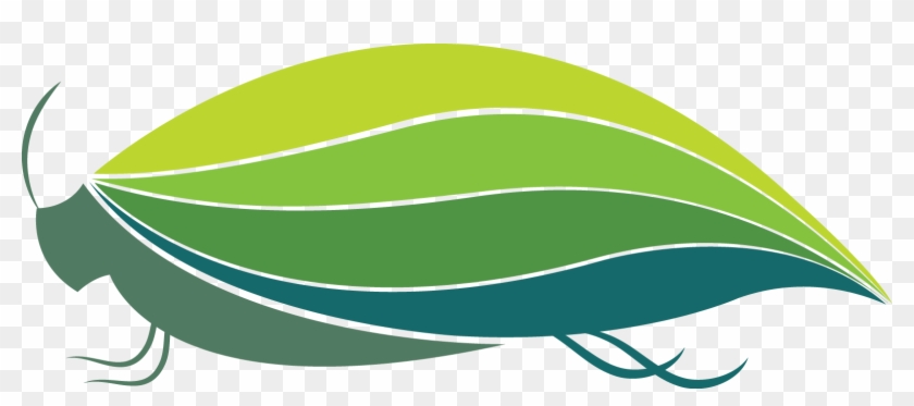 Grasshopper Clipart Project - Grasshopper Clipart Project #1556247