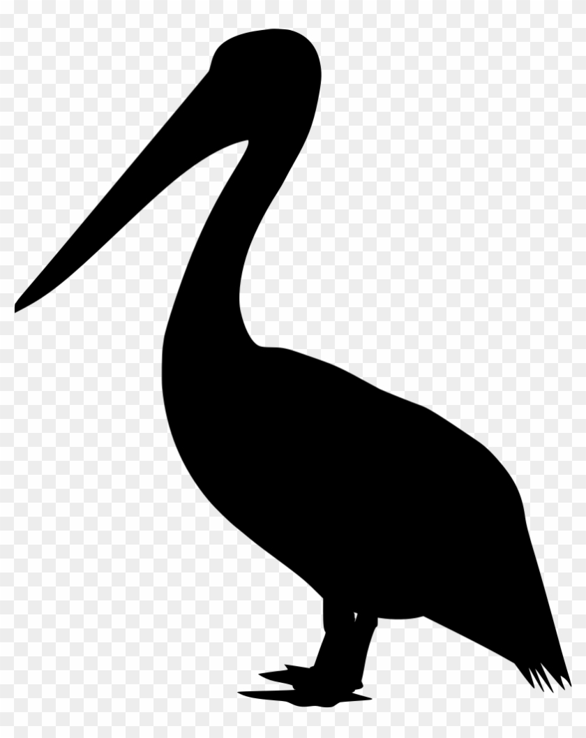 Info - Info #1556325