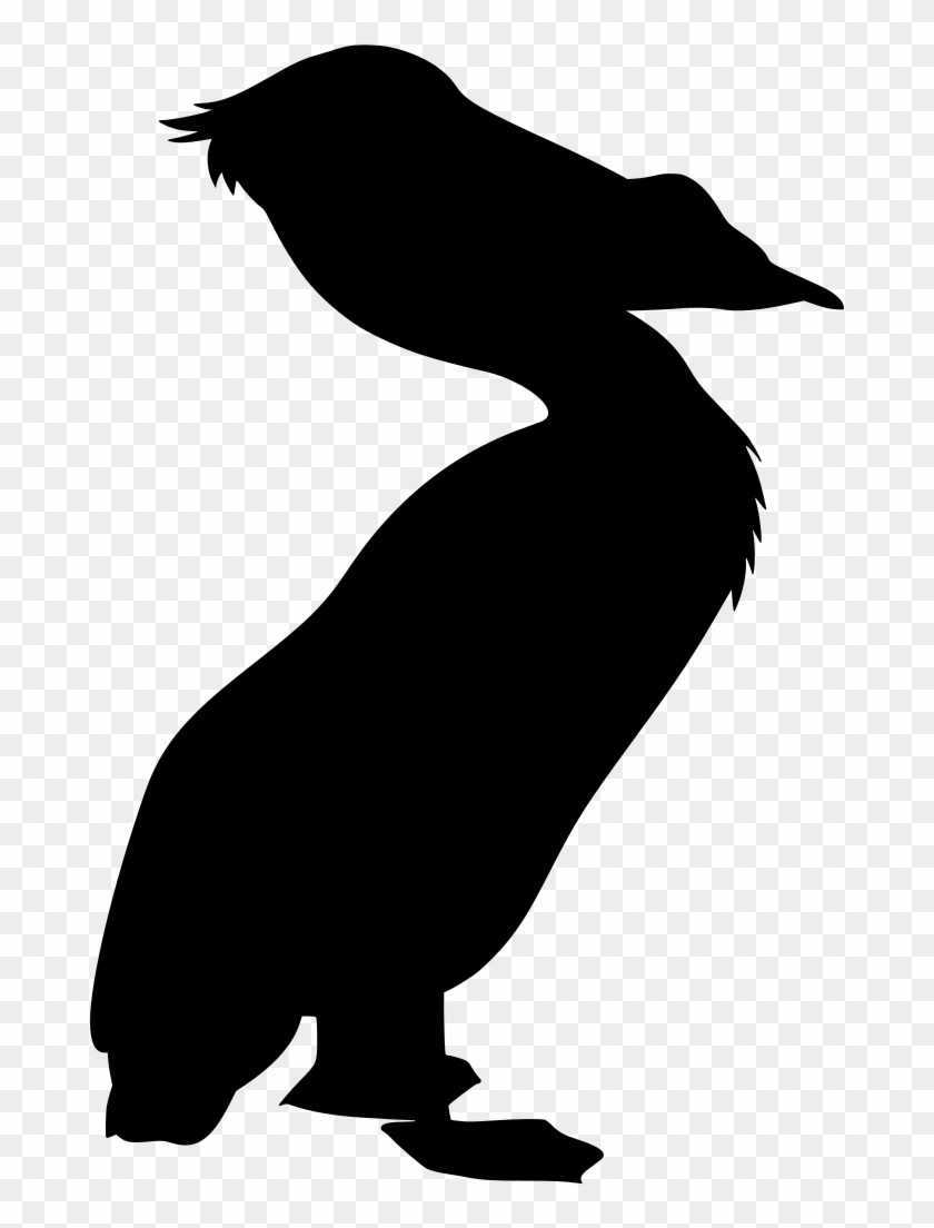 Info - Info #1556331