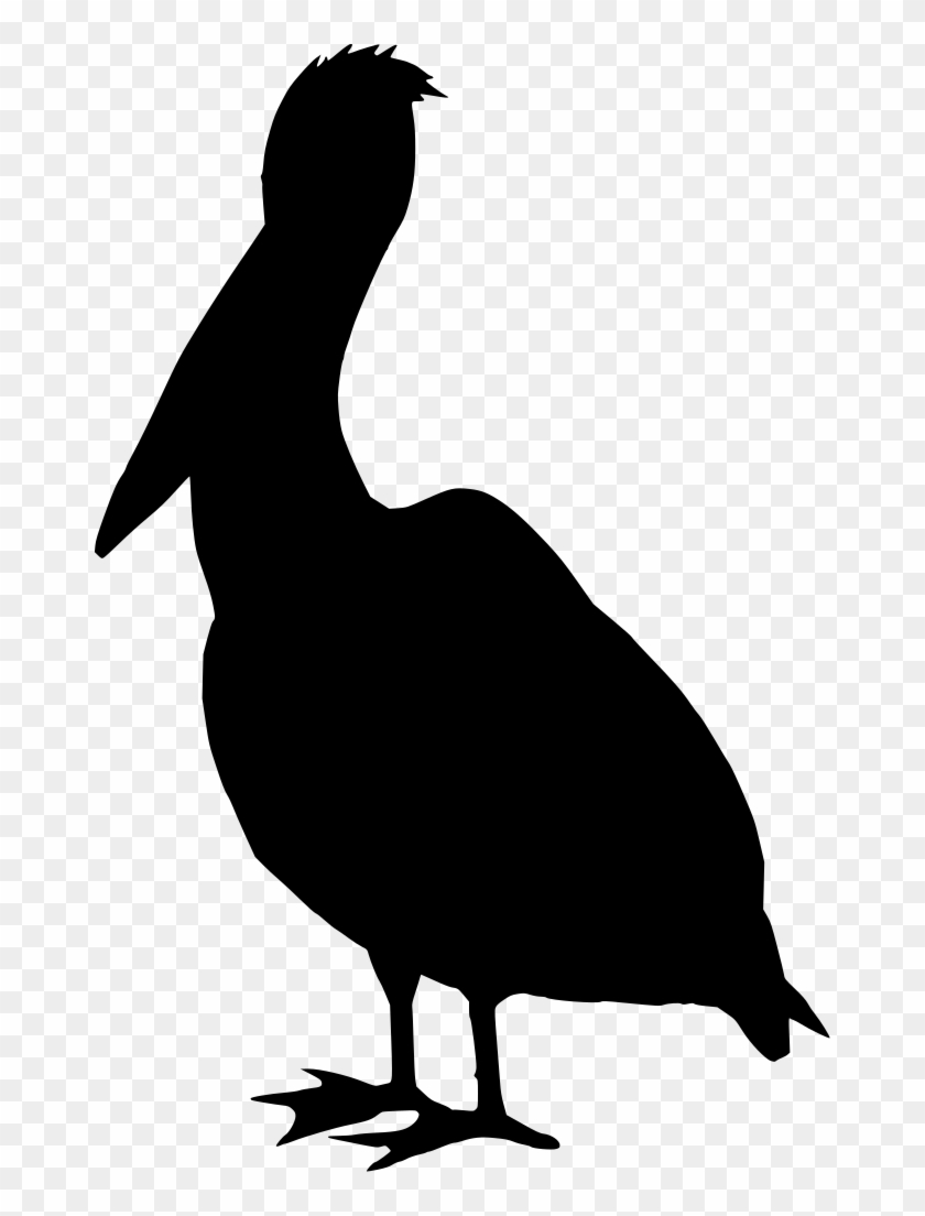 Info - Info #1556349