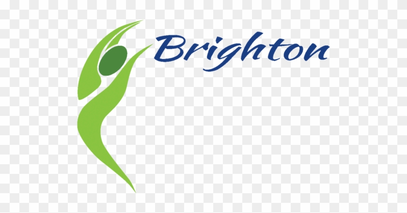 Brighton Therapy Medicare Functional Questionnaire - Brighton Therapy Medicare Functional Questionnaire #1556744