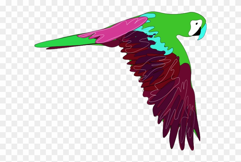 Flying Parrot Vector Clip Art - Flying Parrot Vector Clip Art #1556873