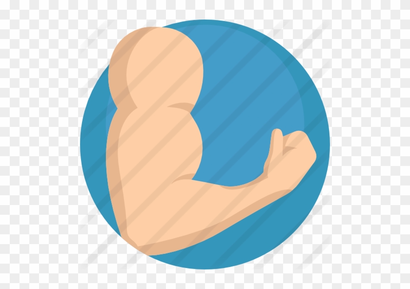 Biceps Free Icon - Biceps Free Icon #1557110