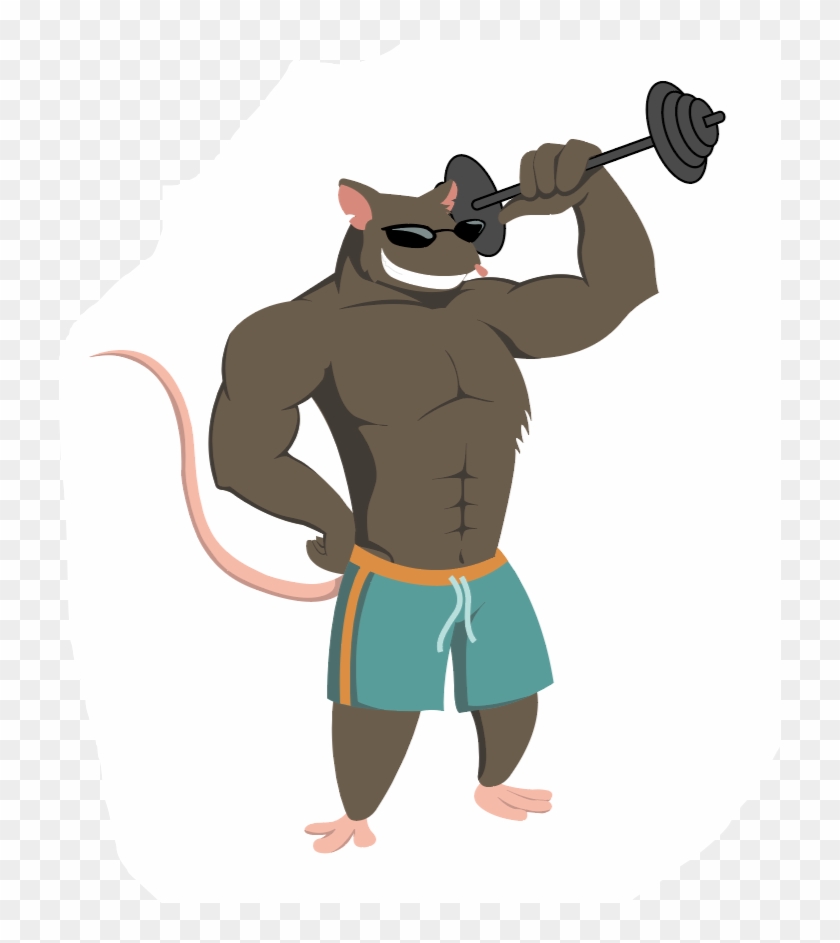 Gym Rat For Supersize Protein Powder - Gym Rat For Supersize Protein Powder #1557129