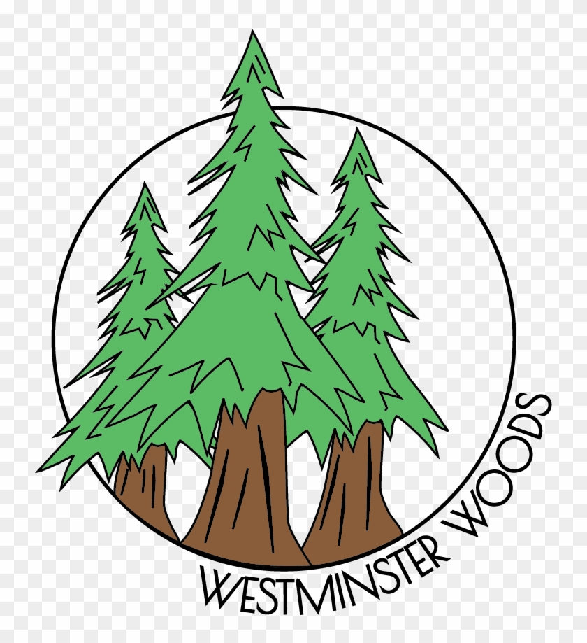 Woods Clipart Redwood Forest - Woods Clipart Redwood Forest #1557197