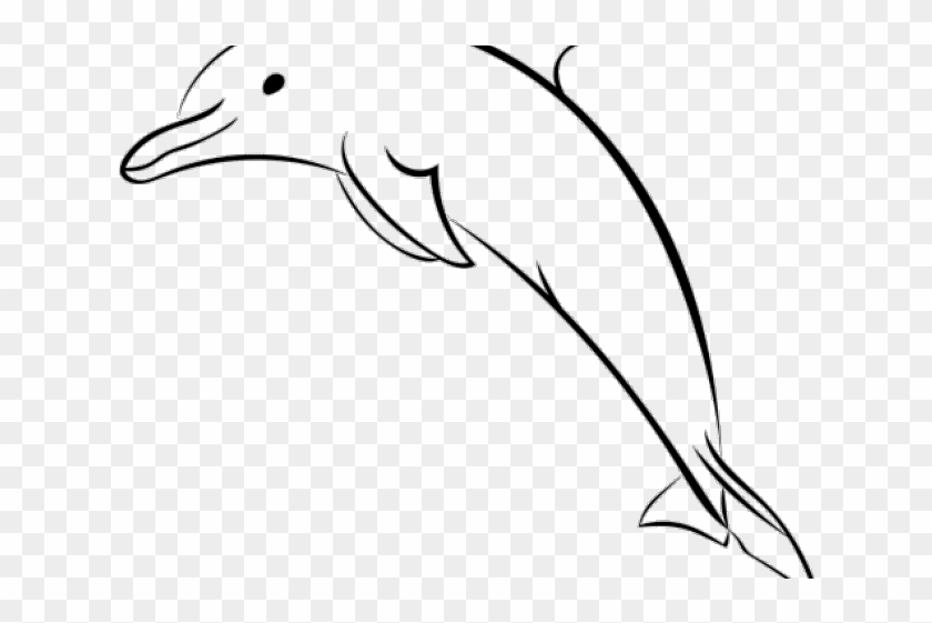 Spinner Dolphin Clipart Dolphin Head - Spinner Dolphin Clipart Dolphin Head #1557277