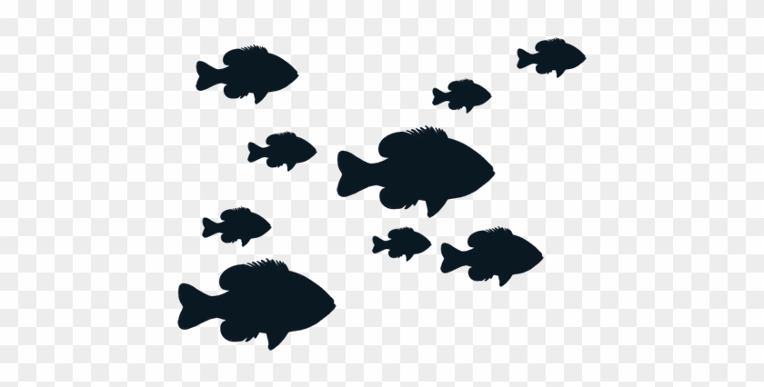 Fisherman Silhouette Clipart - Fisherman Silhouette Clipart #1557288