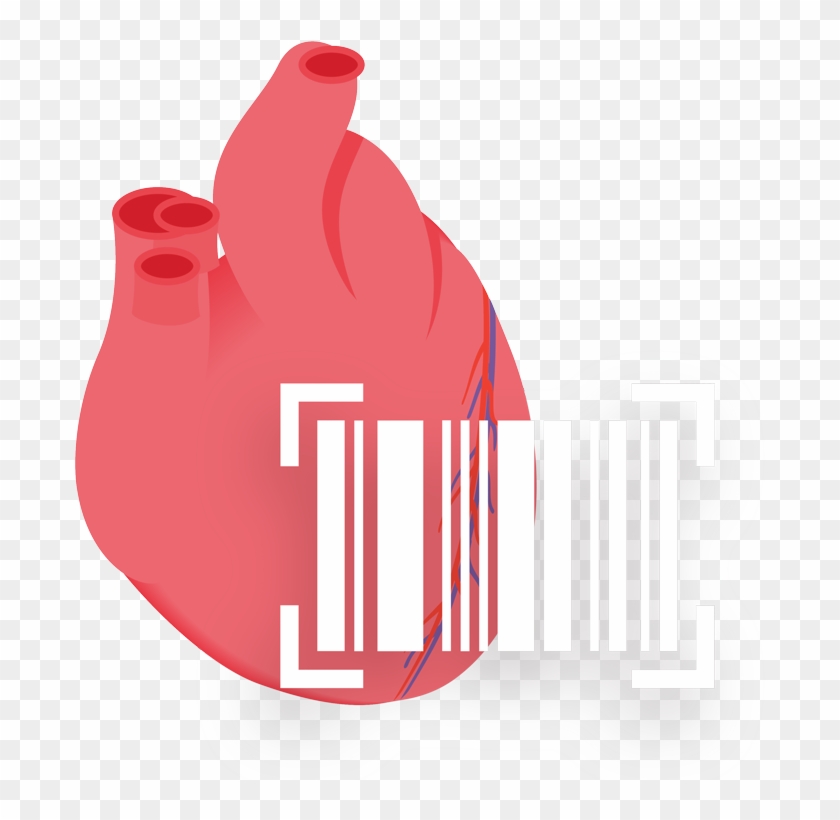 In The Event Of A Recall Know That You Can Easily Obtain - In The Event Of A Recall Know That You Can Easily Obtain #1557361