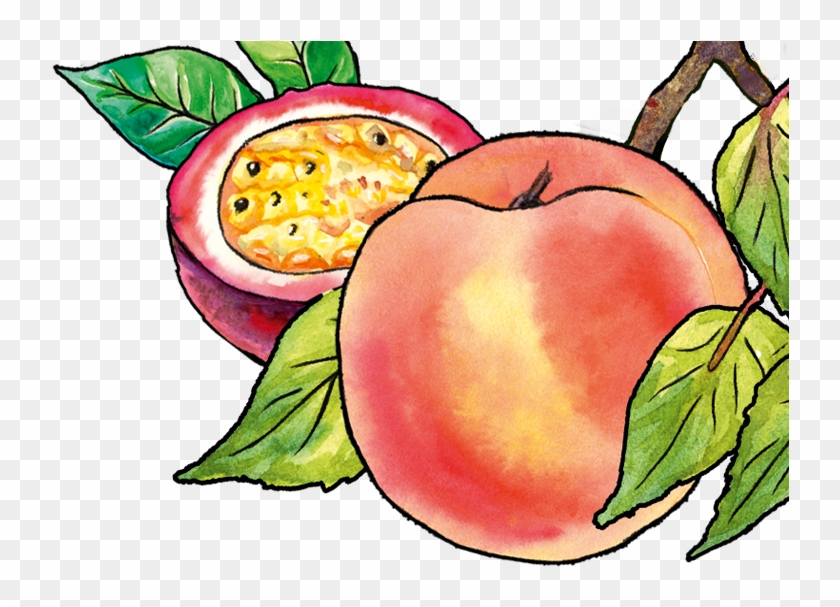 Onken Naked Peach & Passion Fruit - Onken Naked Peach & Passion Fruit #1558031