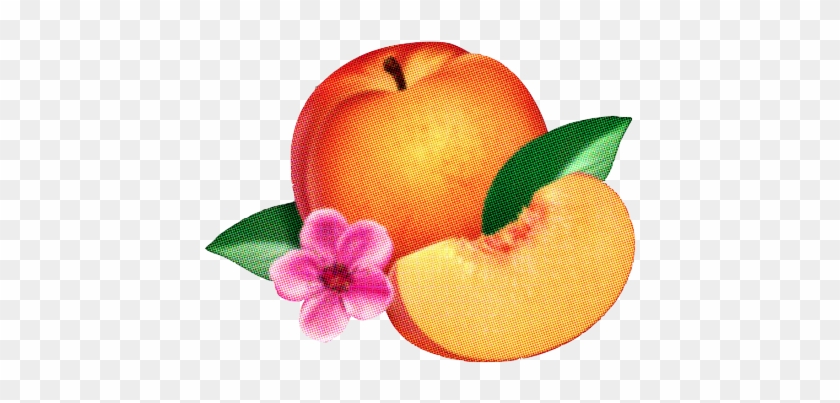 Flower Idk Peaches Phoenix Peach Transparent Looks - Flower Idk Peaches Phoenix Peach Transparent Looks #1558033