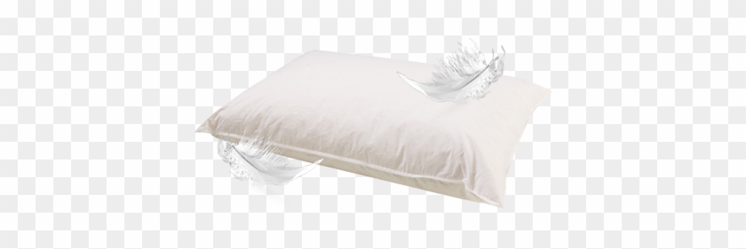 The Luxury Of Feather Pillows Home Design - The Luxury Of Feather Pillows Home Design #1558336