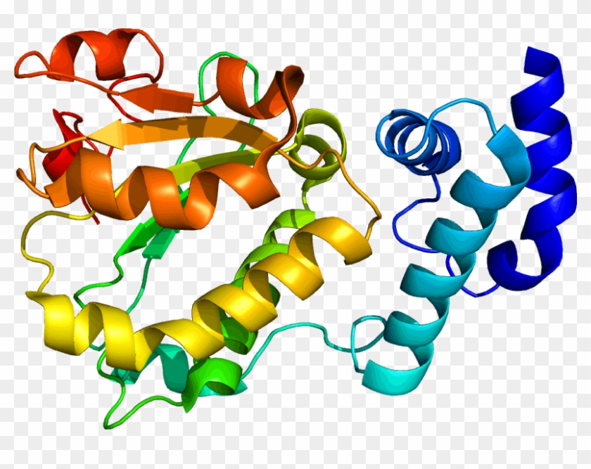 Computer Generated Image Of Protein Rlbp1 - Computer Generated Image Of Protein Rlbp1 #1558465