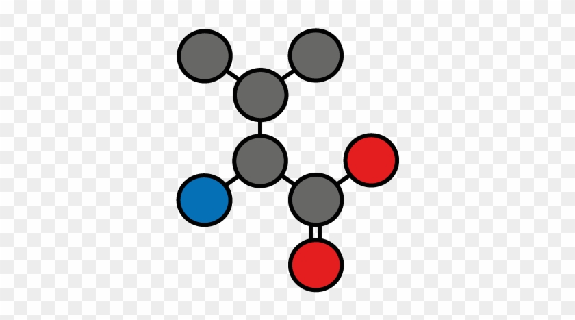 Valine N = 10 (3 - Valine N = 10 (3 #1558468