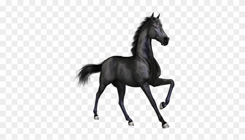Horse Clipart 0 - Horse Clipart 0 #1558489
