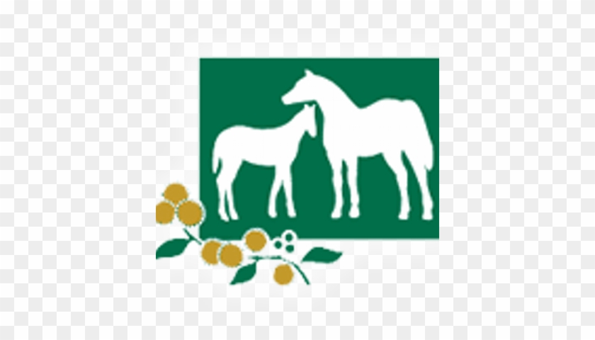 Wattle Brae Stud - Wattle Brae Stud #1558537