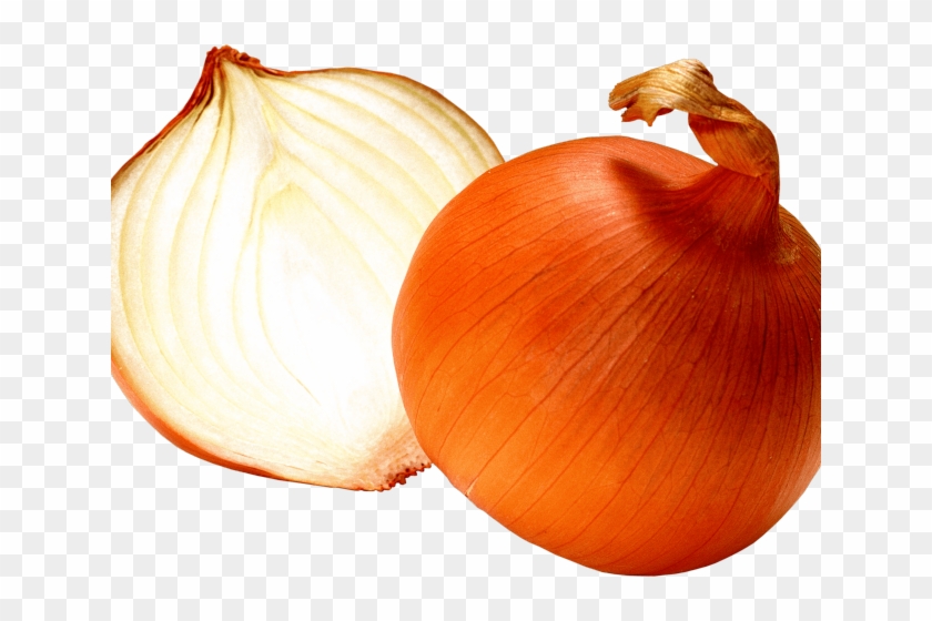 Onion Clipart Yellow Onion - Onion Clipart Yellow Onion #1558876