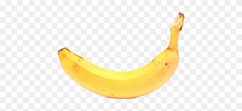 Banana Clipart - Banana Clipart #1559101