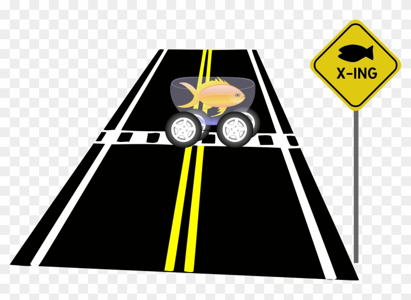 Medium Image - Medium Image #1559619