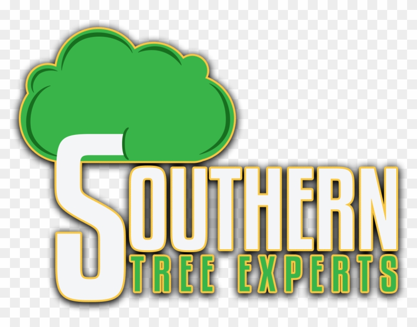 Southern Tree Experts 134 E 52nd St Savannah, Ga - Southern Tree Experts 134 E 52nd St Savannah, Ga #1559827