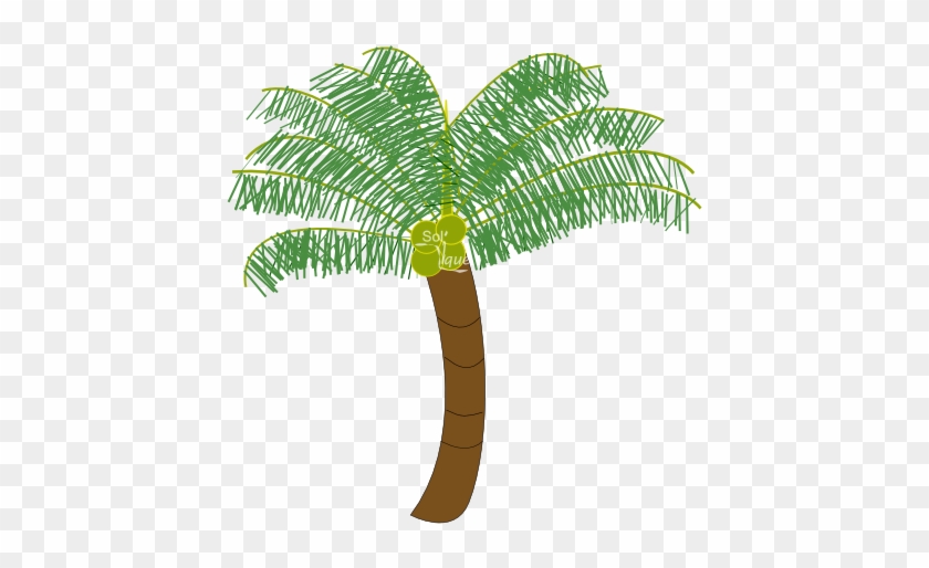 New Coconut Tree Images Free Download Coconut Tree - New Coconut Tree Images Free Download Coconut Tree #1559920
